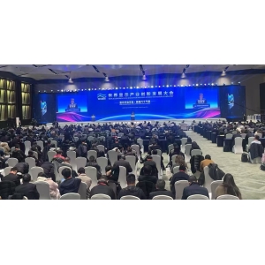 世界顯示產業創新發展大會