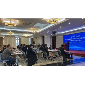 Promoting modernization around the world through global development initiatives